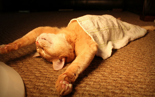 ڴ ڼ ˾ƺ  ׽Ʈ